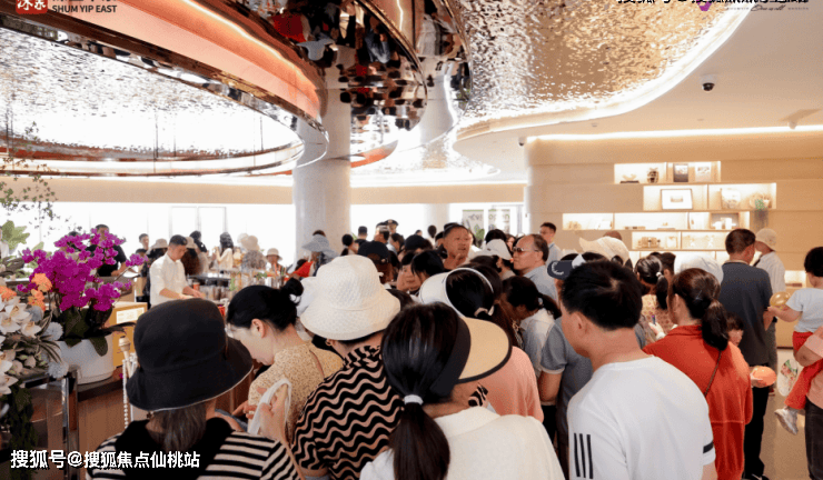 深嘉上府」利弊(优点、缺点)分析一文读懂在售户型和价格（附详细资料）开元棋牌app「深业深嘉上府」测评以及选房攻略户型图独家爆料「深业(图11)