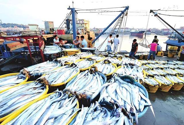 局三大新兴产业蓝色增长极正在形成ky开元棋牌青岛海洋经济遇转型布(图1)