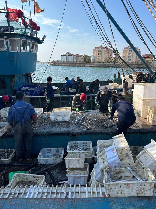 局三大新兴产业蓝色增长极正在形成ky开元棋牌青岛海洋经济遇转型布(图3)